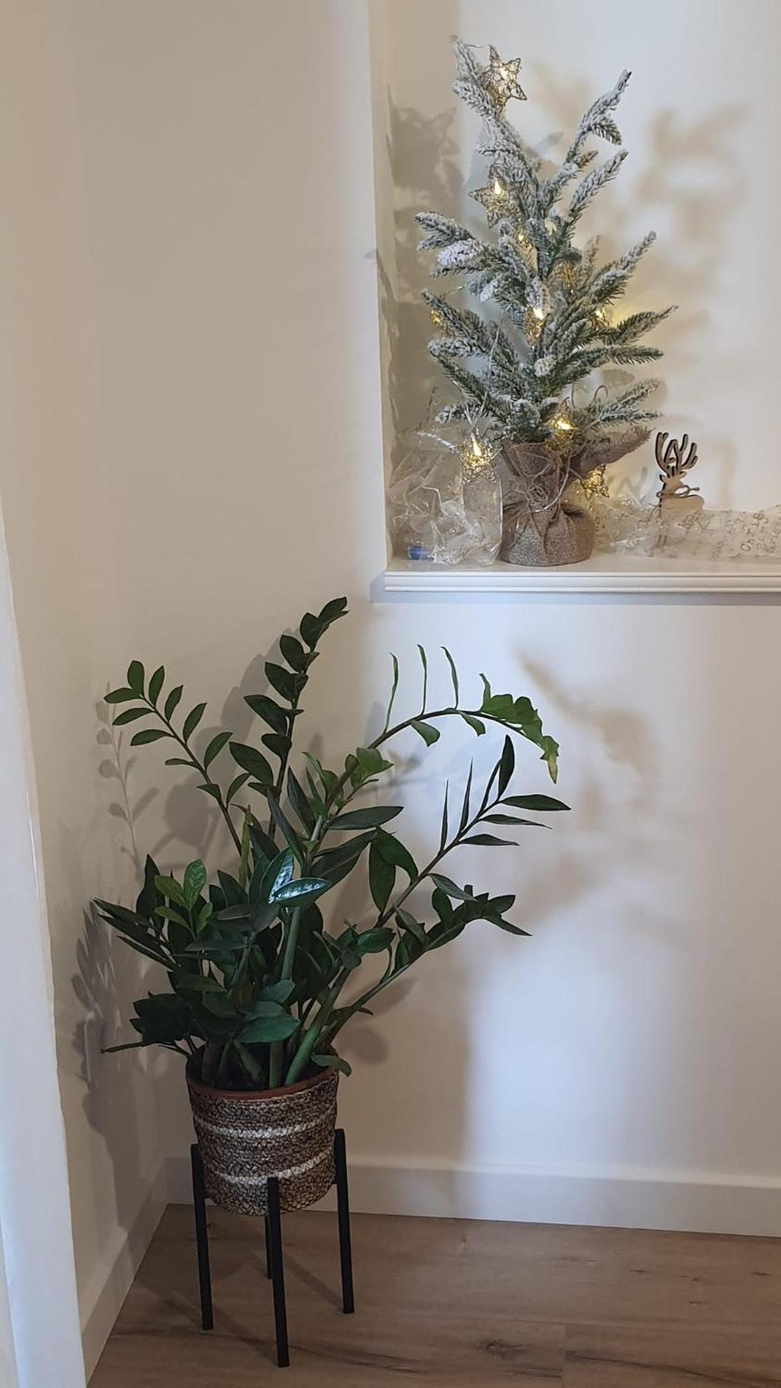 Apartman Lili Сплит Екстериор снимка